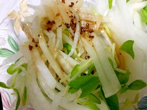 大根と豆苗のサラダ★